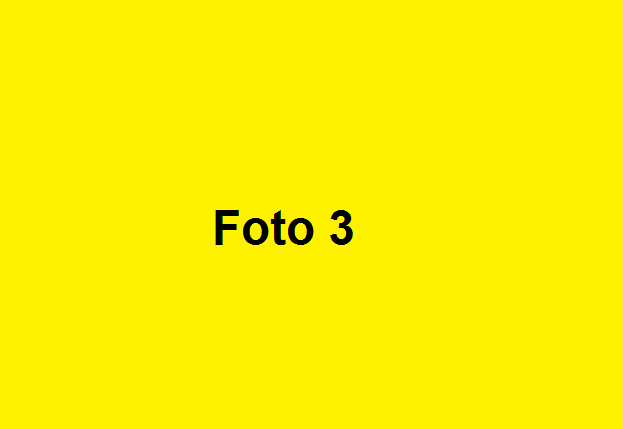 banner3